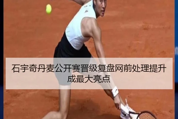 石宇奇丹麦公开赛晋级复盘网前处理提升成最大亮点